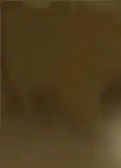 main navigation bar