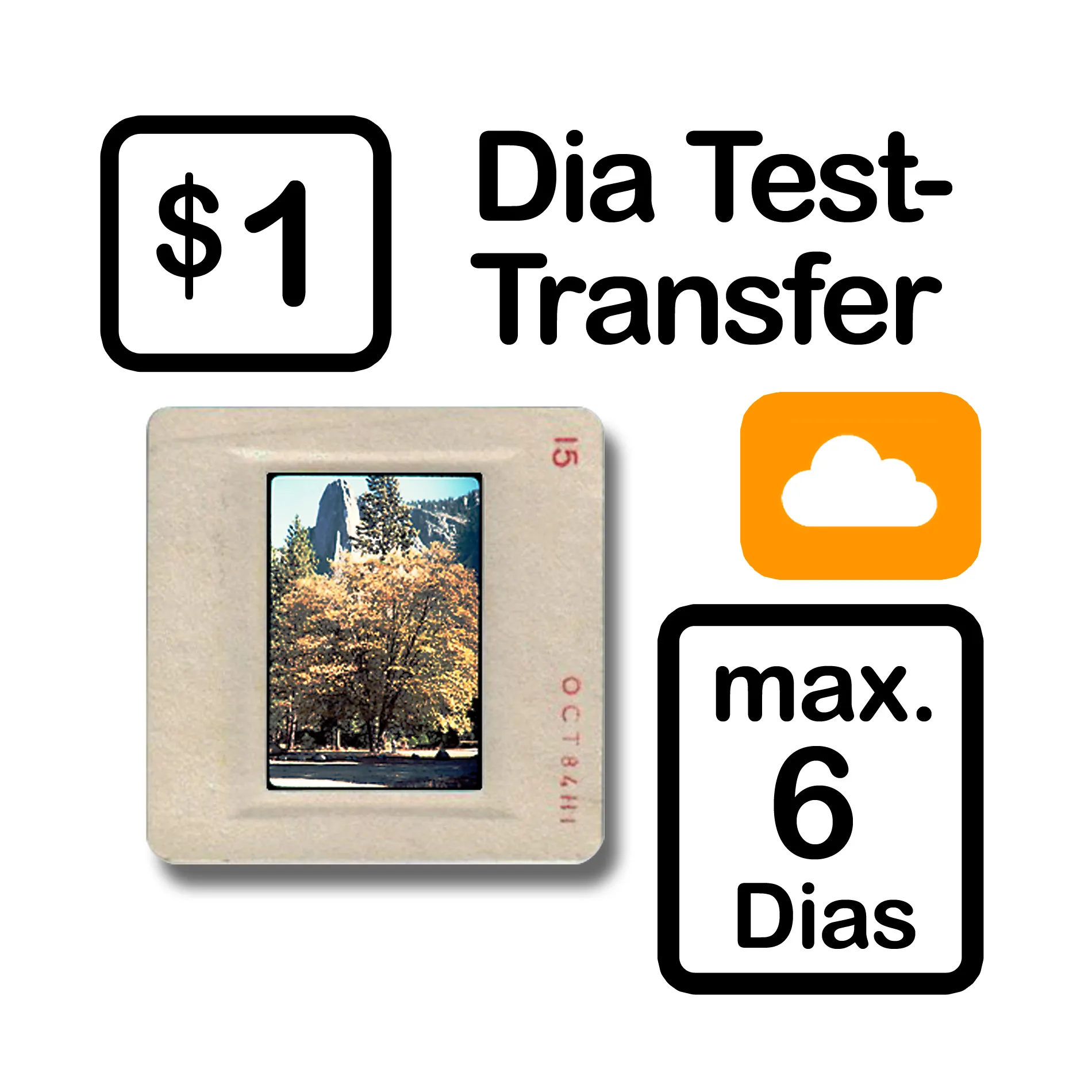 Dia Test-Transfer
