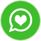 WhatsApp Send